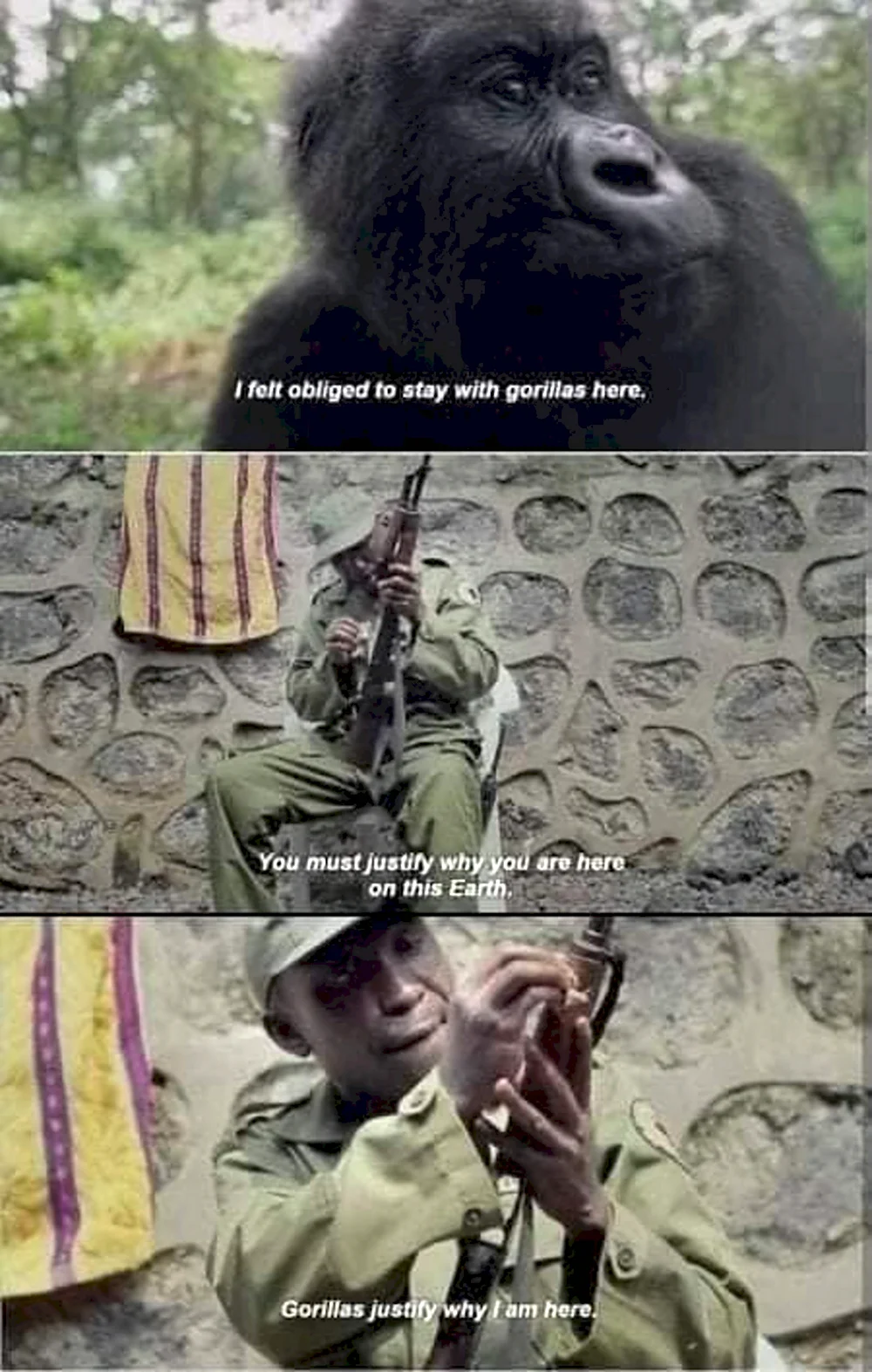 Мем обезьяны про войну России Украины