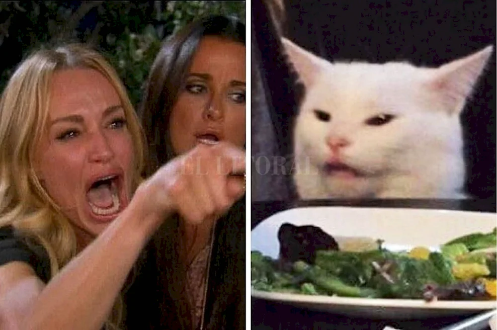 Мем с котом и двумя женщинами