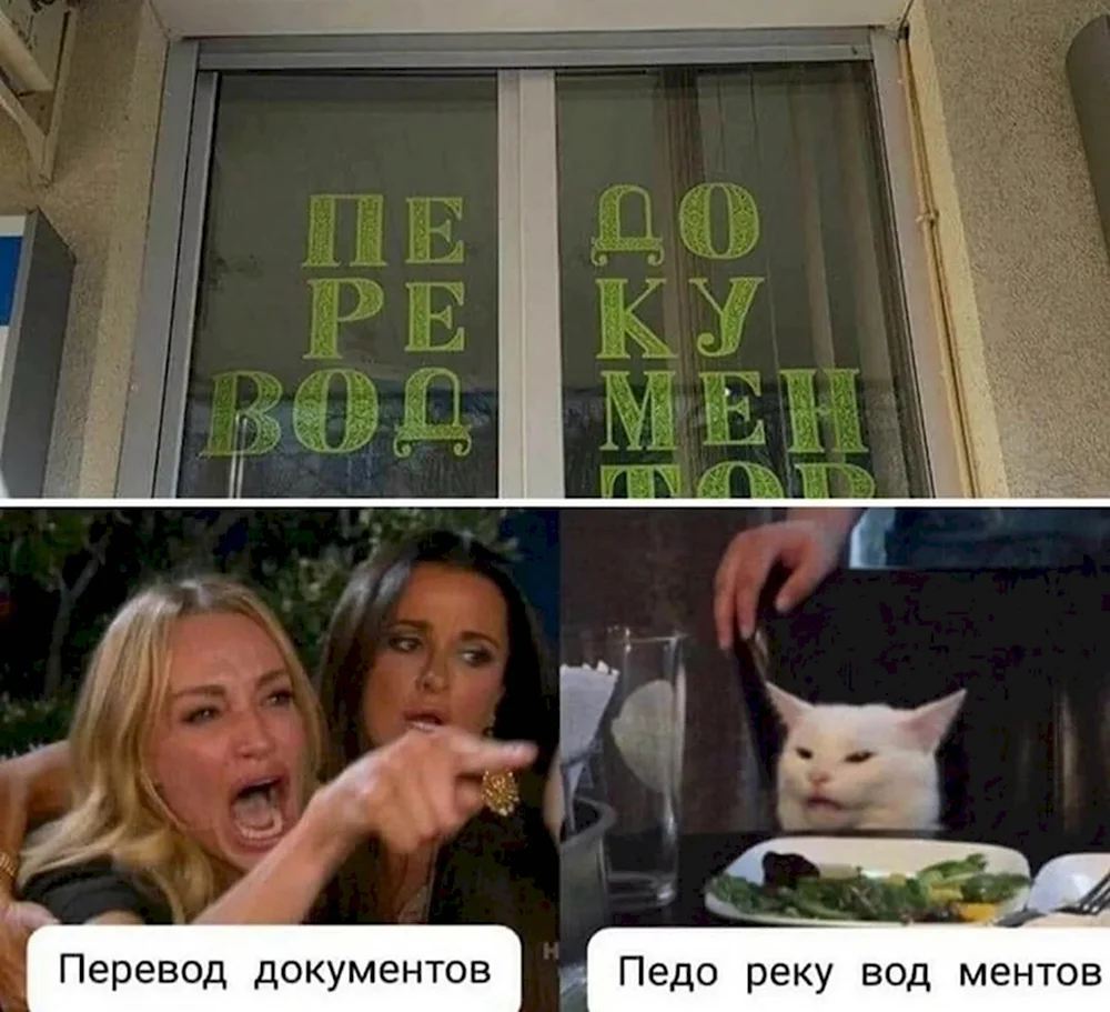 Мем с женщиной и котом