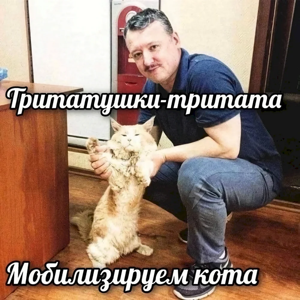 Мемы про мобилизацию