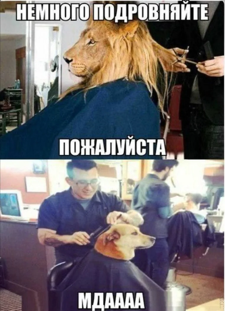 Мемы про парикмахеров