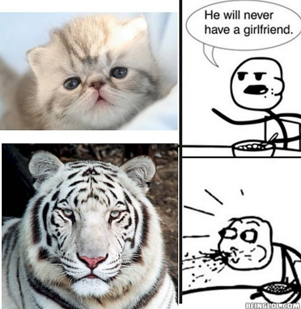 Мемы про тигров