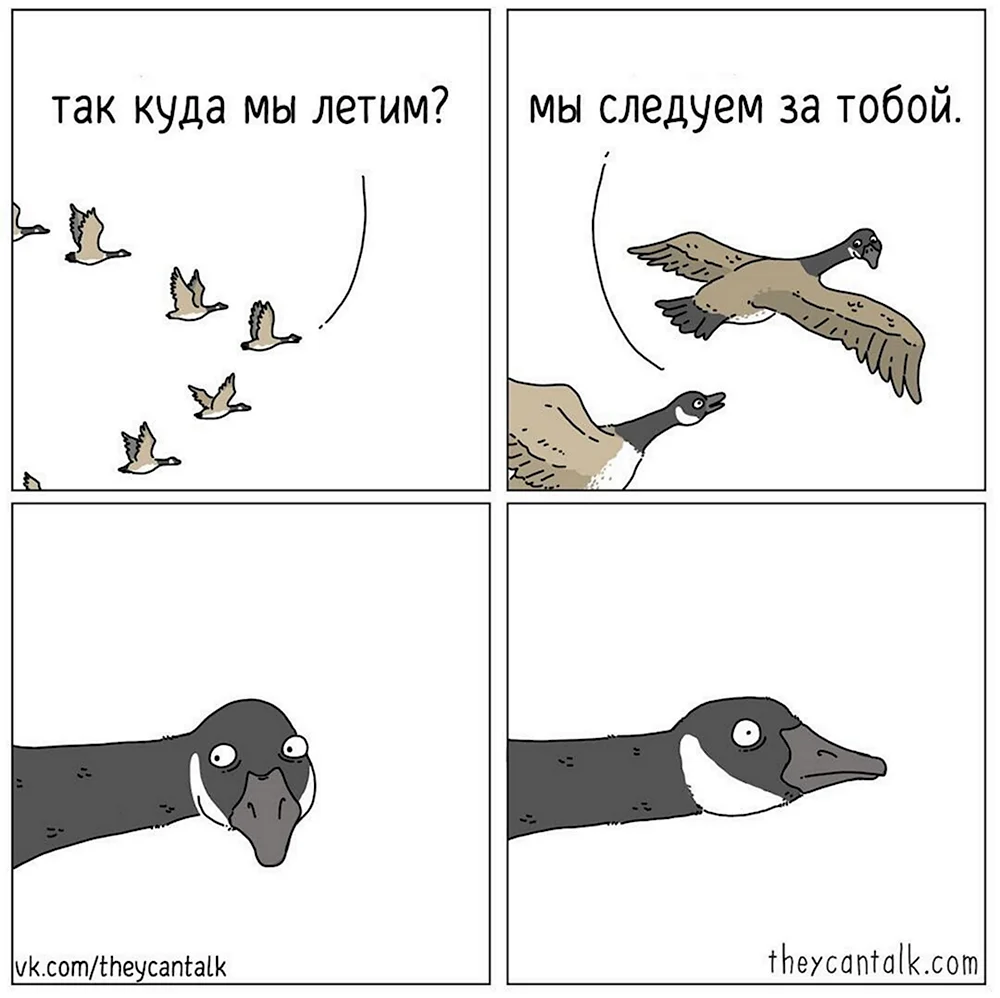 Мемы про утку