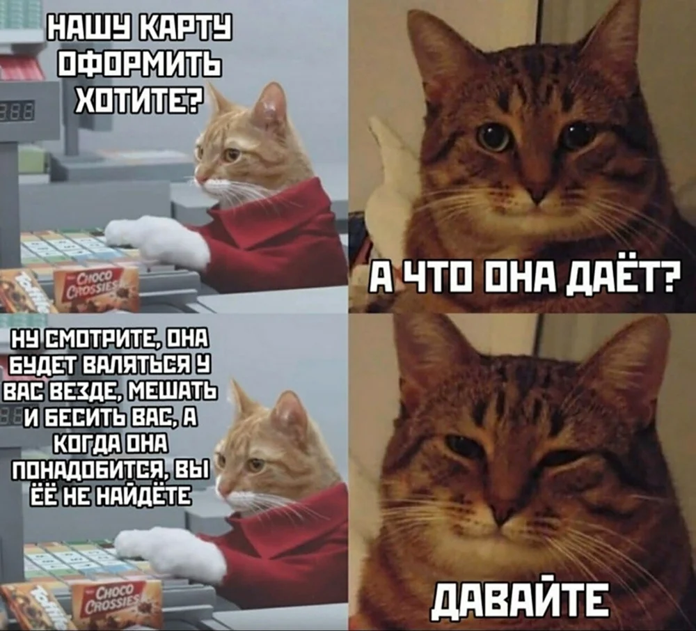 Мемы с котом