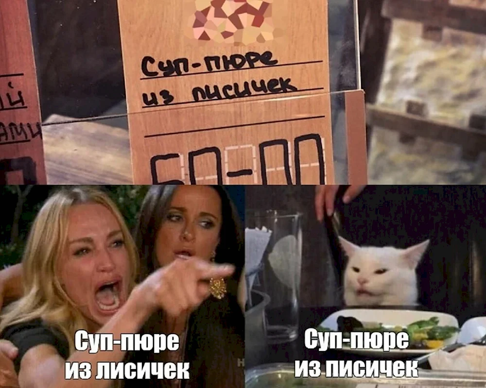 Мемы с котом и девушками