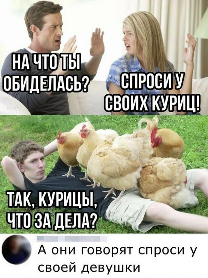 Мемы с курицей