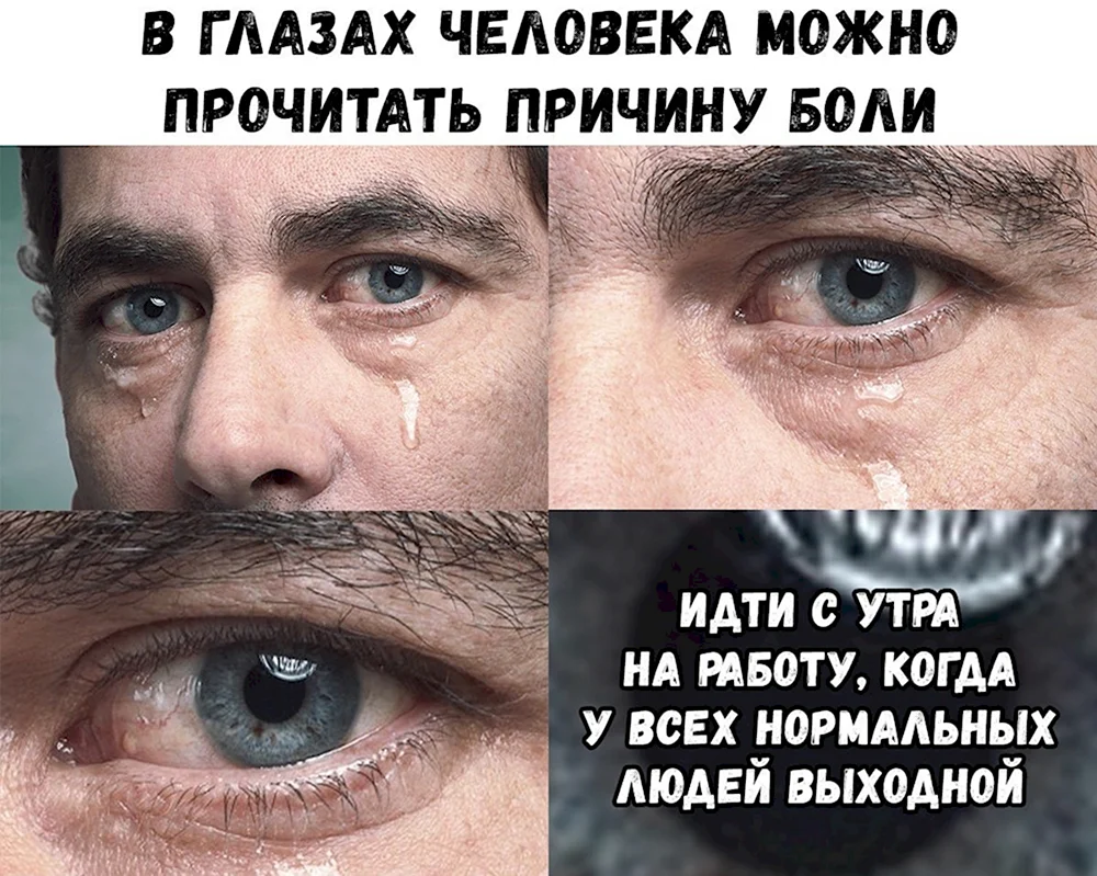 Мемы с надписями