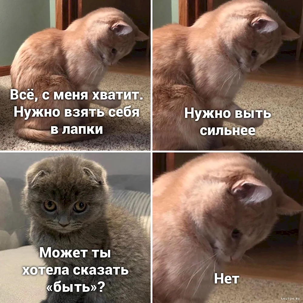 Мемы с надписями