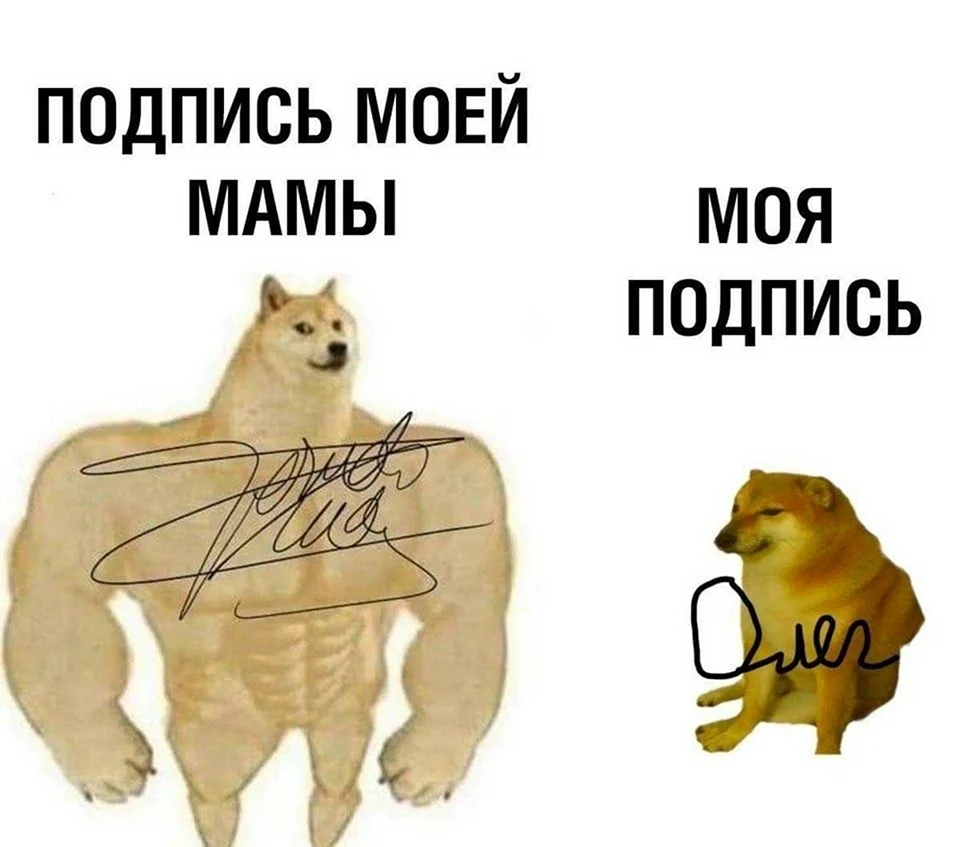 Мемы с подписями