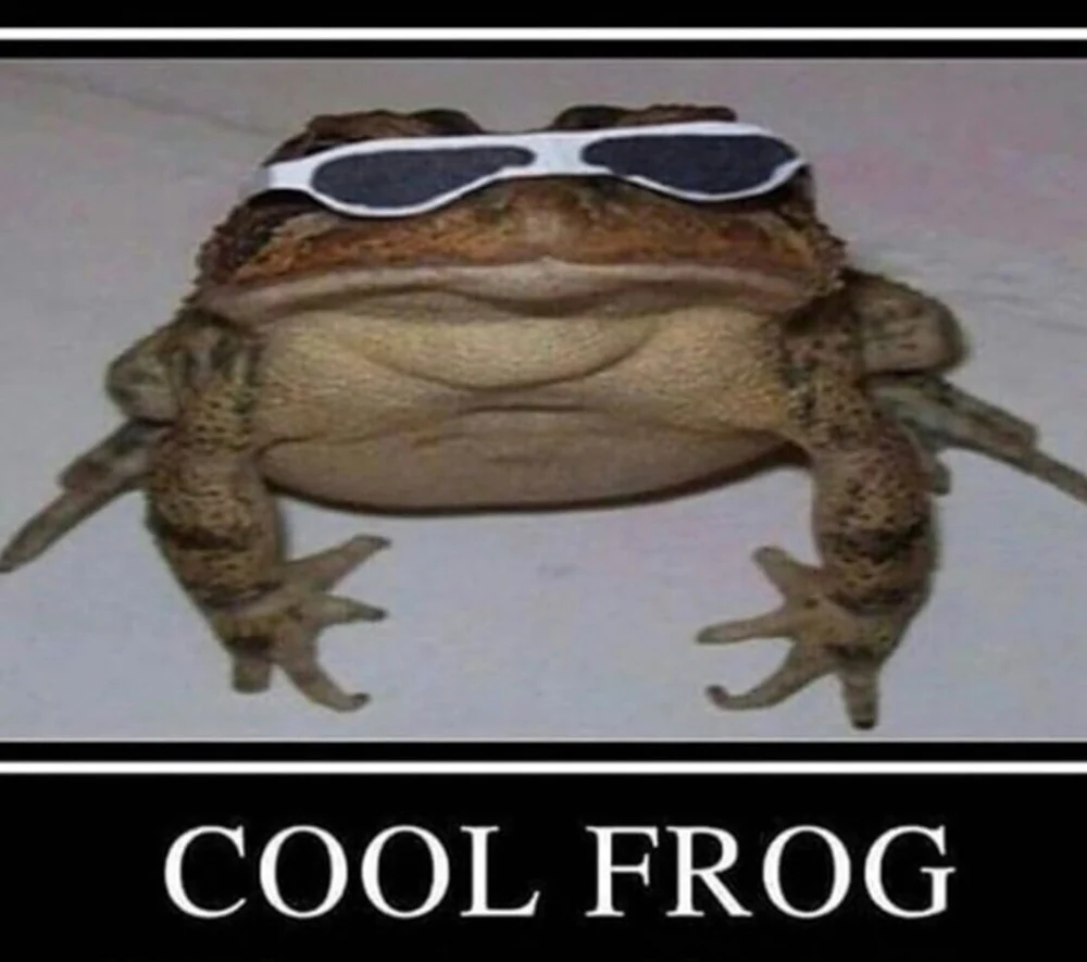 Мемы с жабами