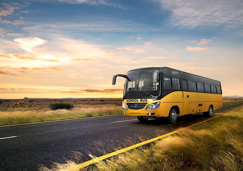 Mercedes Benz Bus