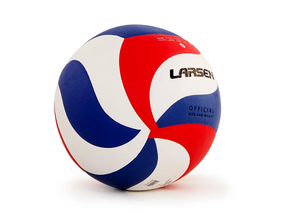 Мяч волейбольный Larsen 5000b