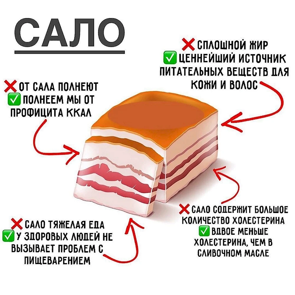 Мифы о Сале