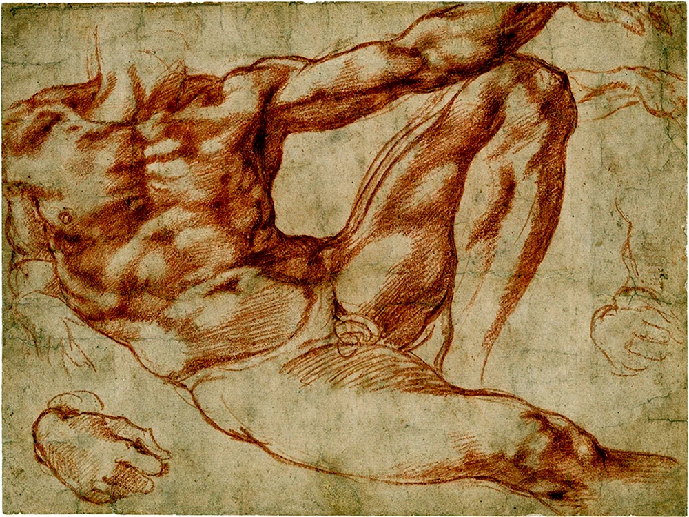 Микеланджело Буонарроти. «Сотворение Адама» 1511