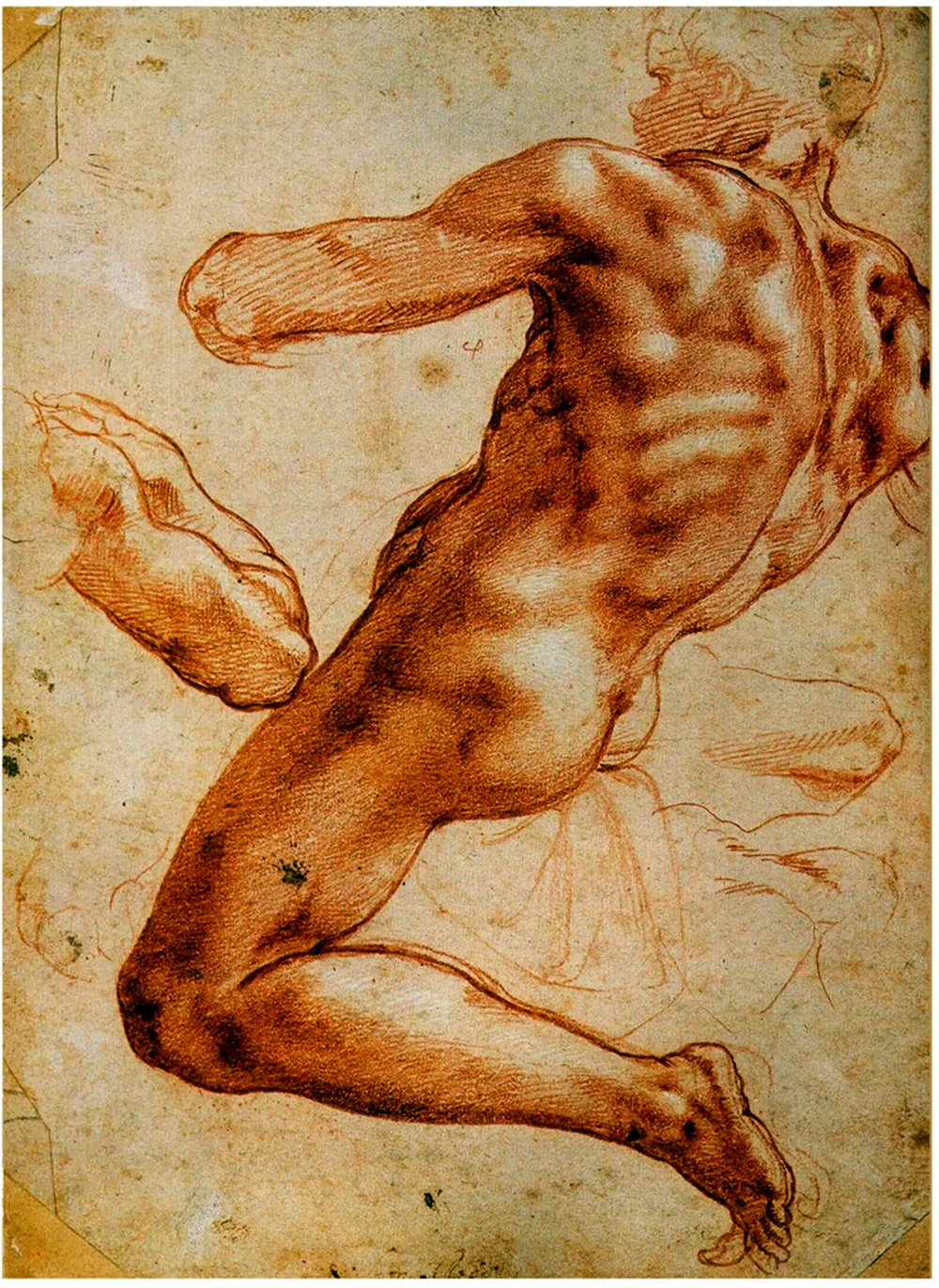 Микеланджело Ignudo