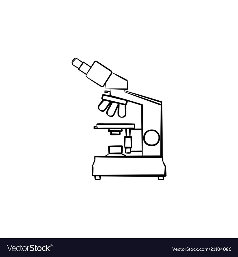 Микроскоп для срисовки легко