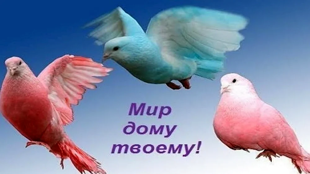 Мир дому твоему