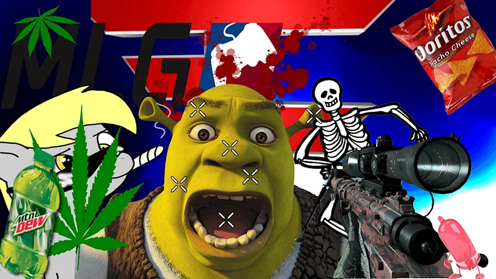 MLG мемы