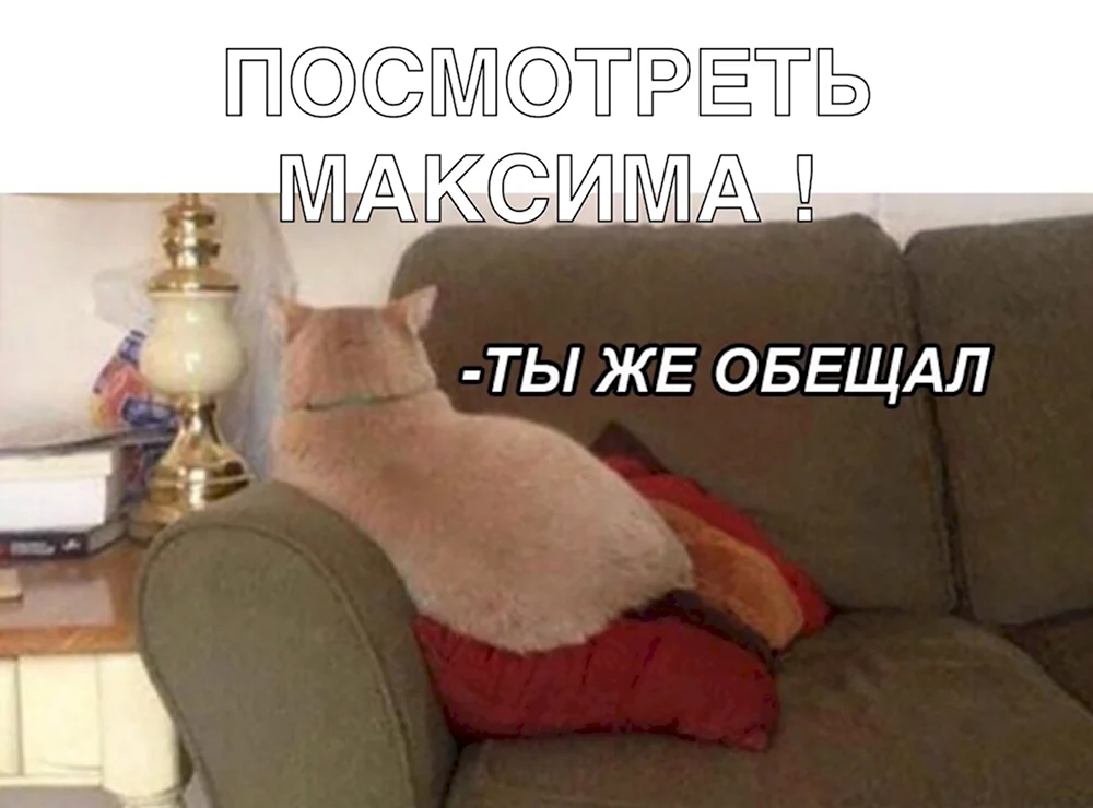 Мне плохо Мем