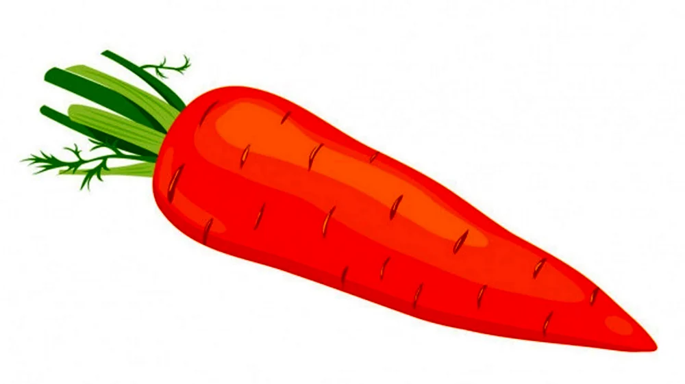 Морковка на прозрачном фоне