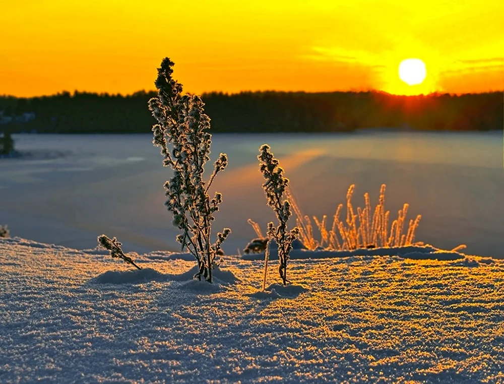 Морозное солнечное утро