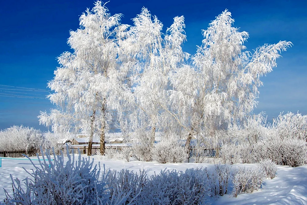 Морозное утро