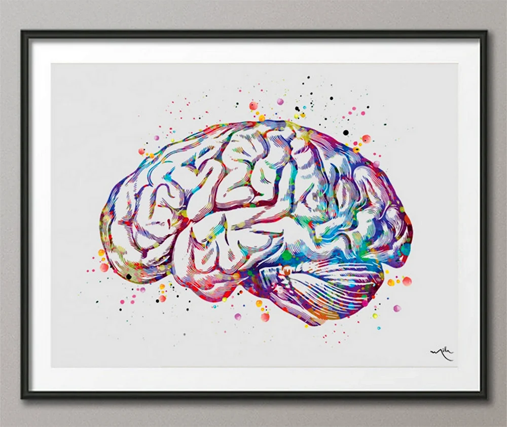 Мозг Эстетика