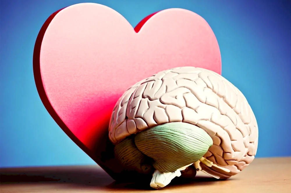 Мозг и любовь
