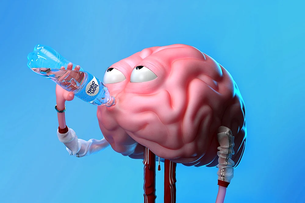 Мозг и вода