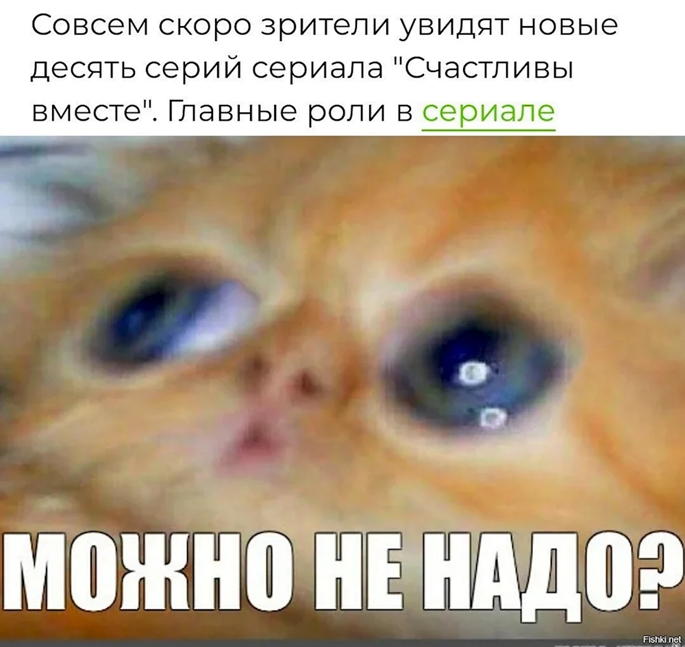 Может не надо Мем кот