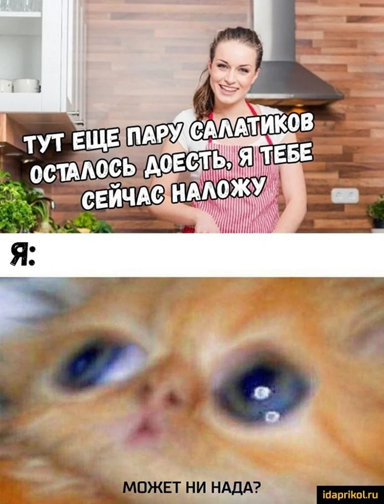 Можно кот Мем