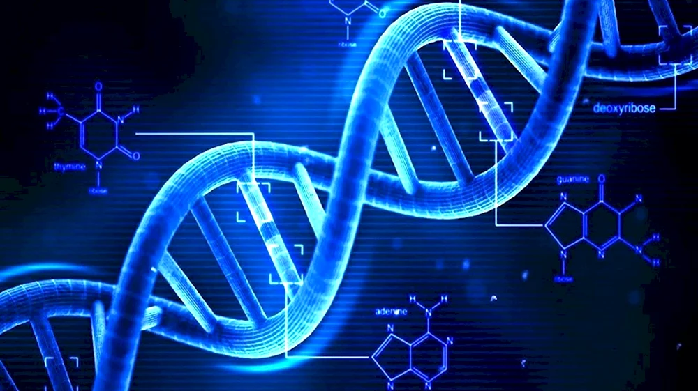 Мутационная ДНК