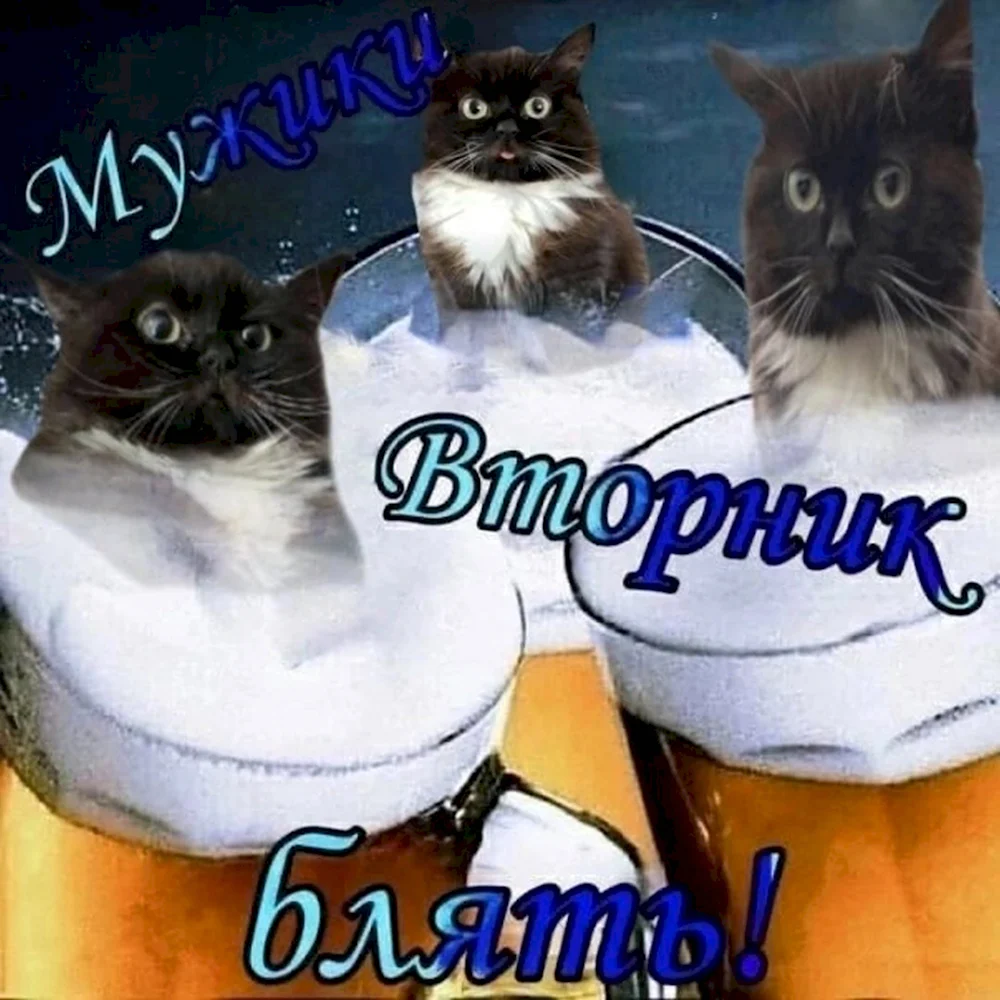 Мужики вторник