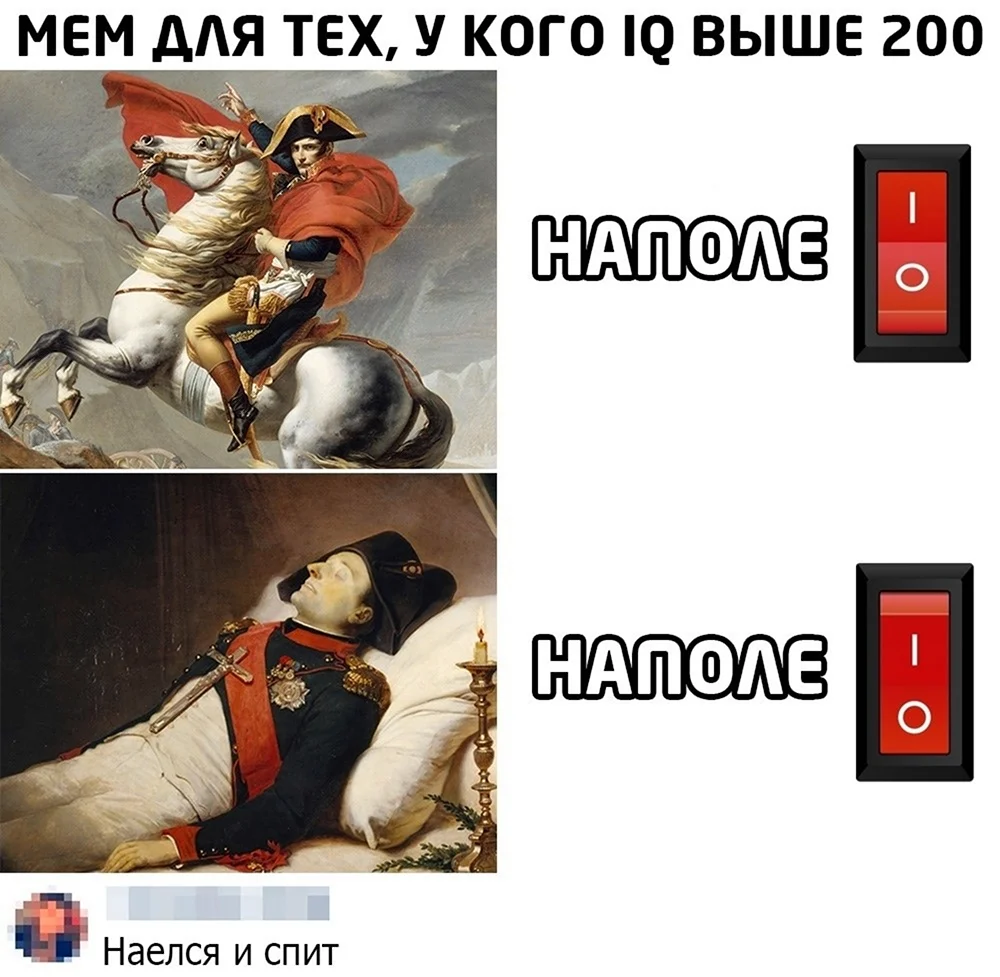 Наполеон Мем