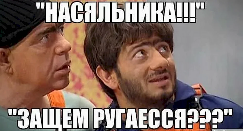 Насяльника