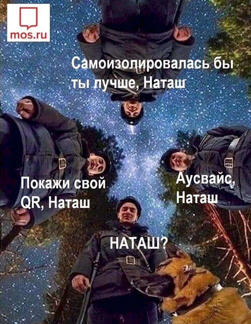 Наташа и коты мемы