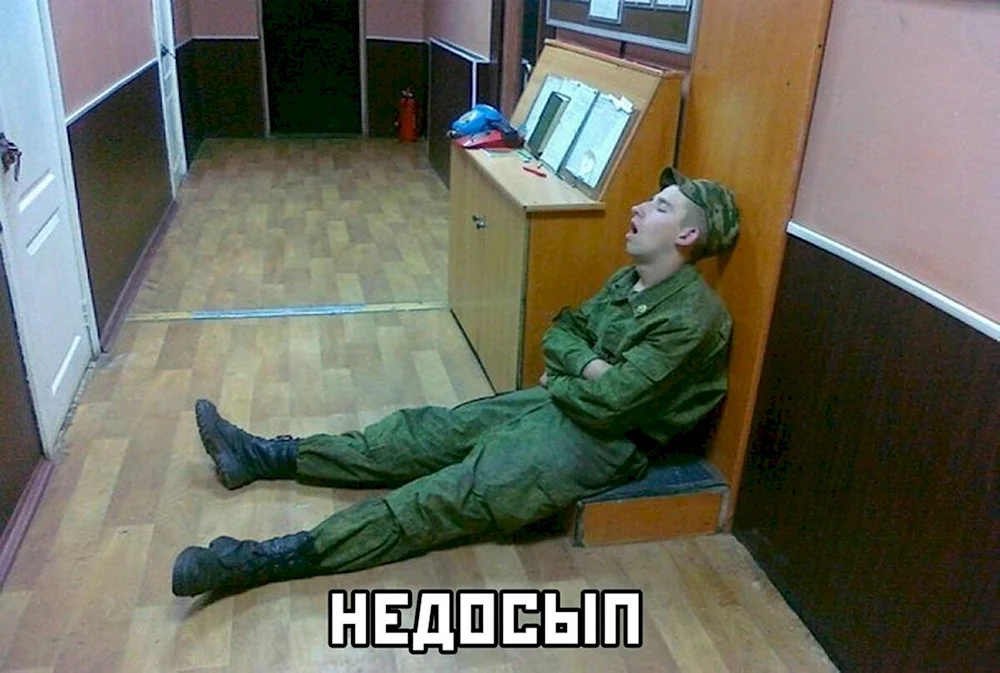 Навальный дневальный
