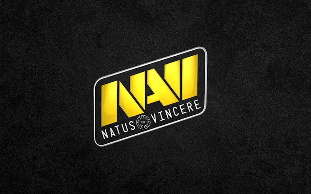 Navi CS go логотип
