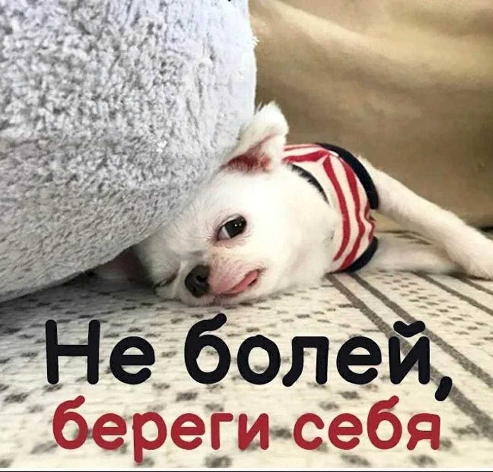 Не болей