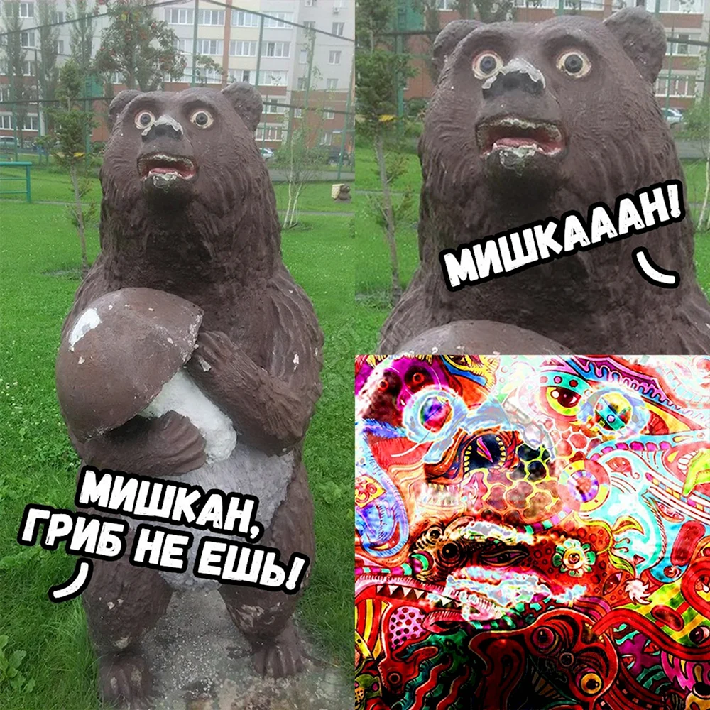 Не ешь грибы