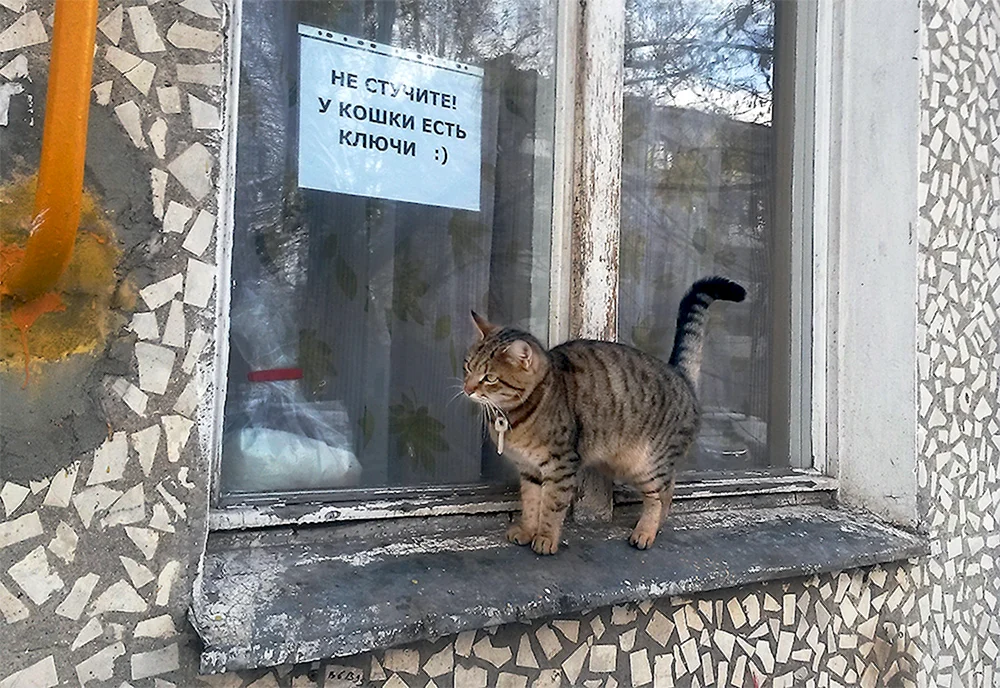 Не стучите у кошки есть ключи