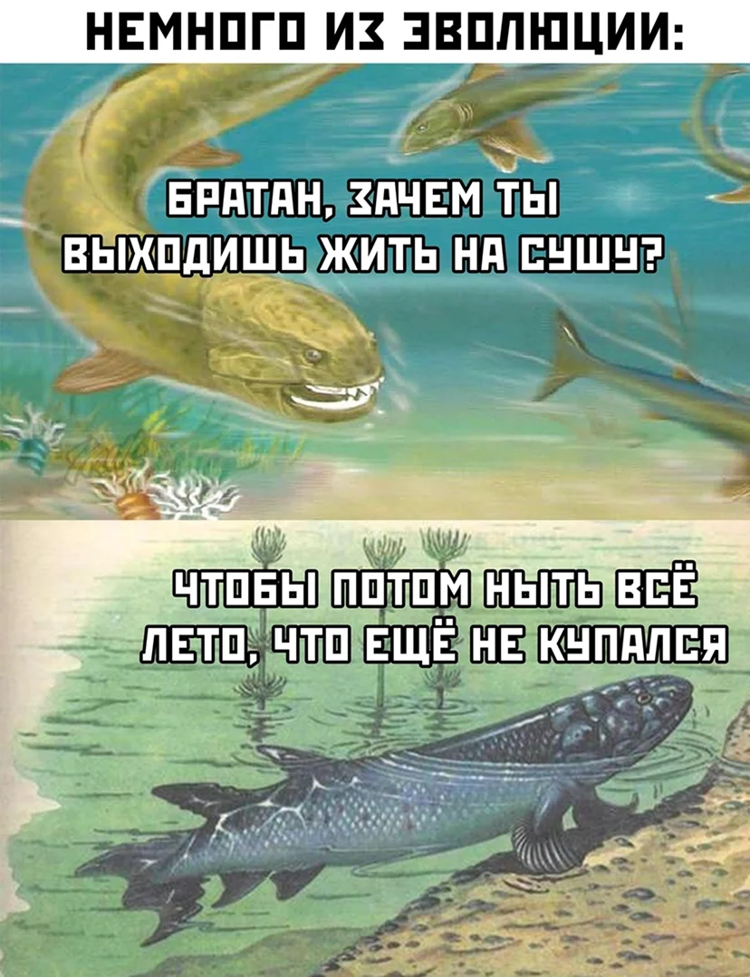 Немного шутки