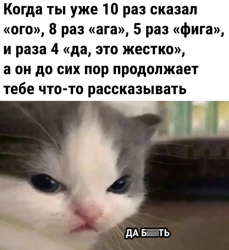 Невдуплёныш Мем котик