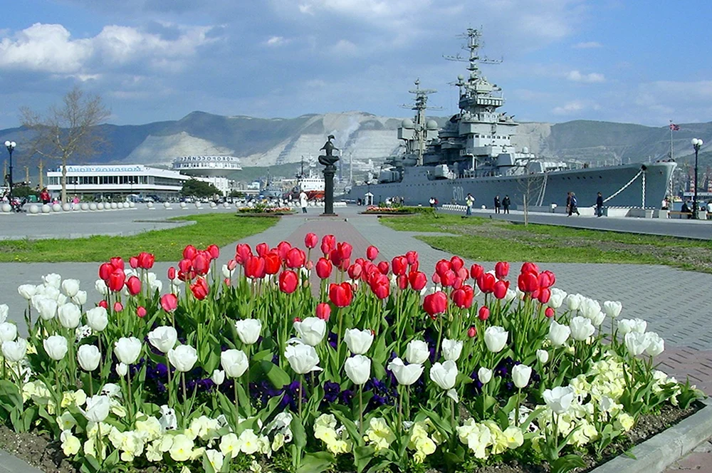 Город новороссийск область. Современный Новороссийск. Новороссийск / Novorossiysk достопримечательности. Новороссийск экскурсии 2022.