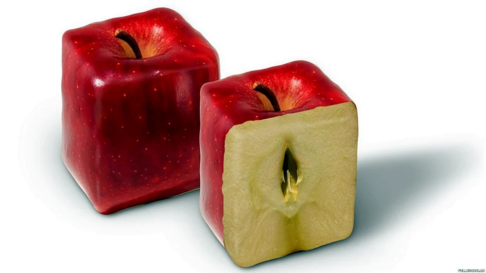 О самом главном квадратные яблоки