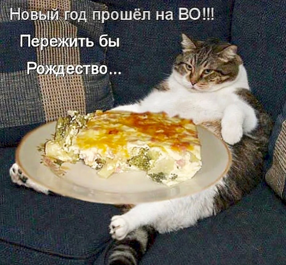 Обожрался на новый год