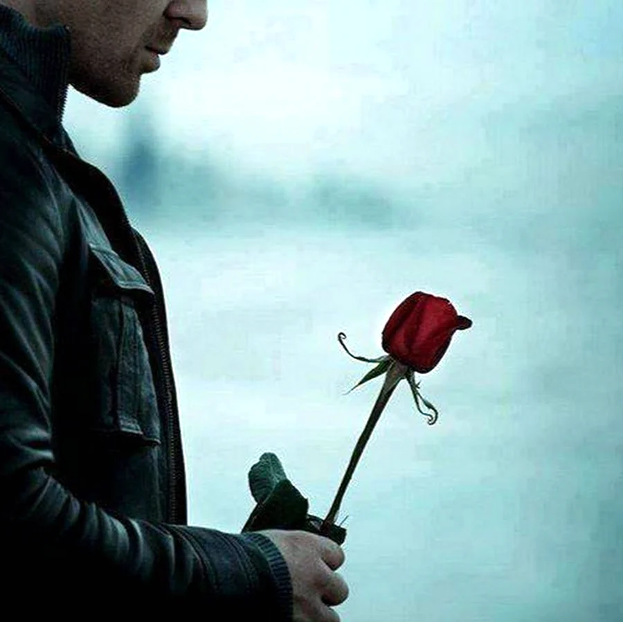 Одинокий парень с розой