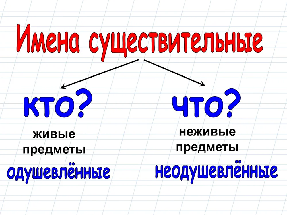 Одушевлённые и неодушевлённые имена существительные