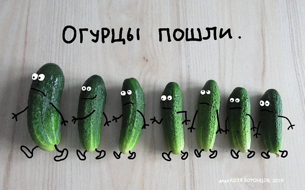 Огурцы юмор
