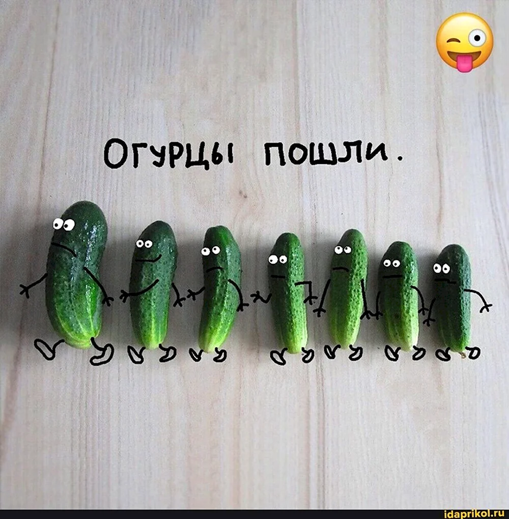 Огурцы пошли